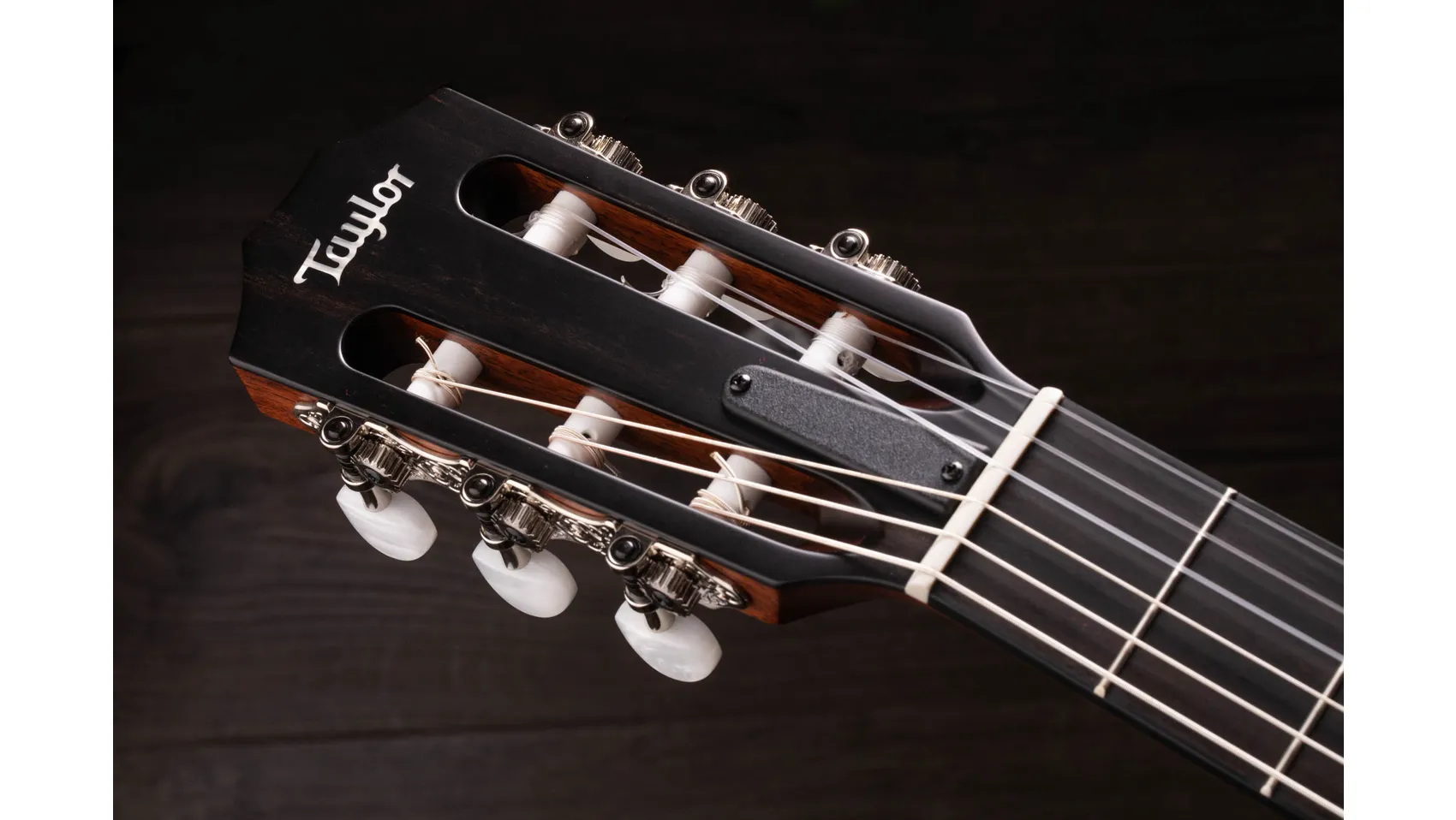 312ce-NSapeleアコースティック エレクトリック ギター | Taylor Guitars